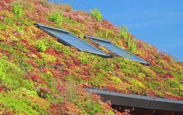 Bolton Green living roof systems